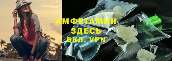 прущие грибы Балахна