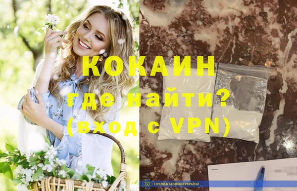 прущие грибы Балахна