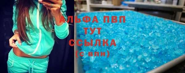 прущие грибы Балахна