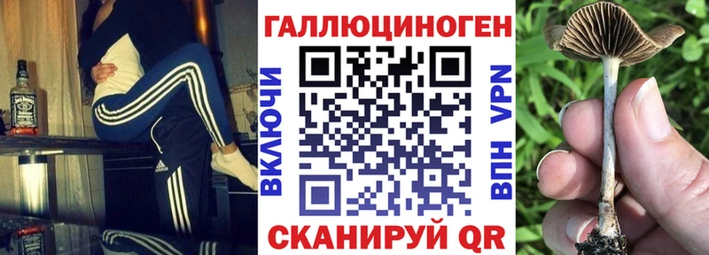 Галлюциногенные грибы Psilocybe Губаха